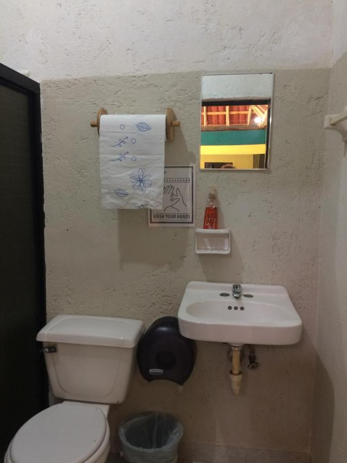Amigos Hostel Cozumel Eksteriør bilde