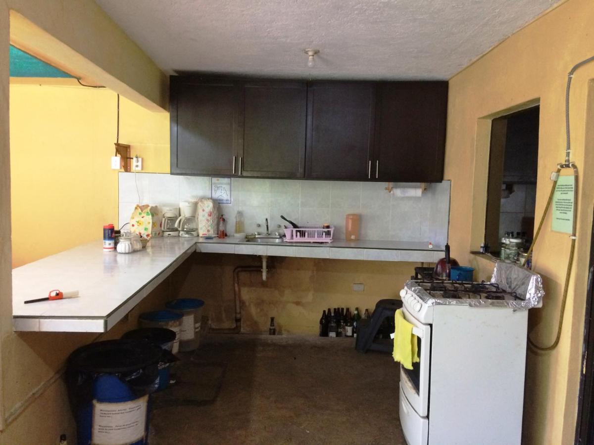 Amigos Hostel Cozumel Eksteriør bilde