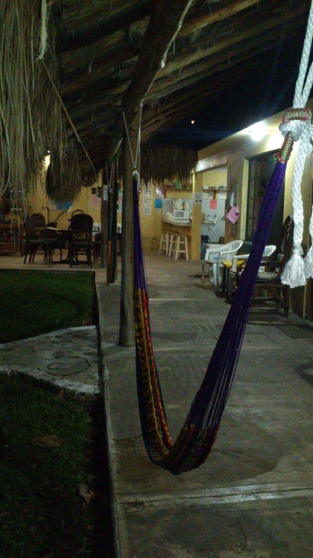 Amigos Hostel Cozumel Eksteriør bilde