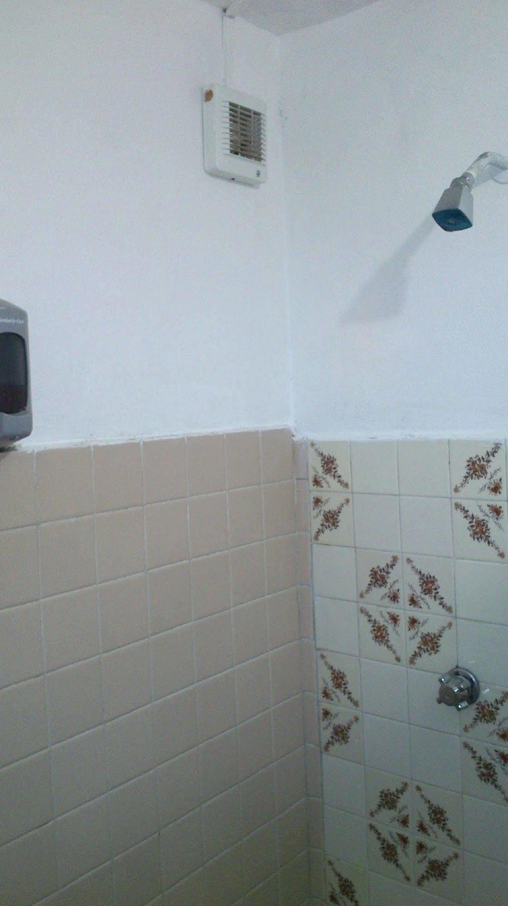 Amigos Hostel Cozumel Eksteriør bilde