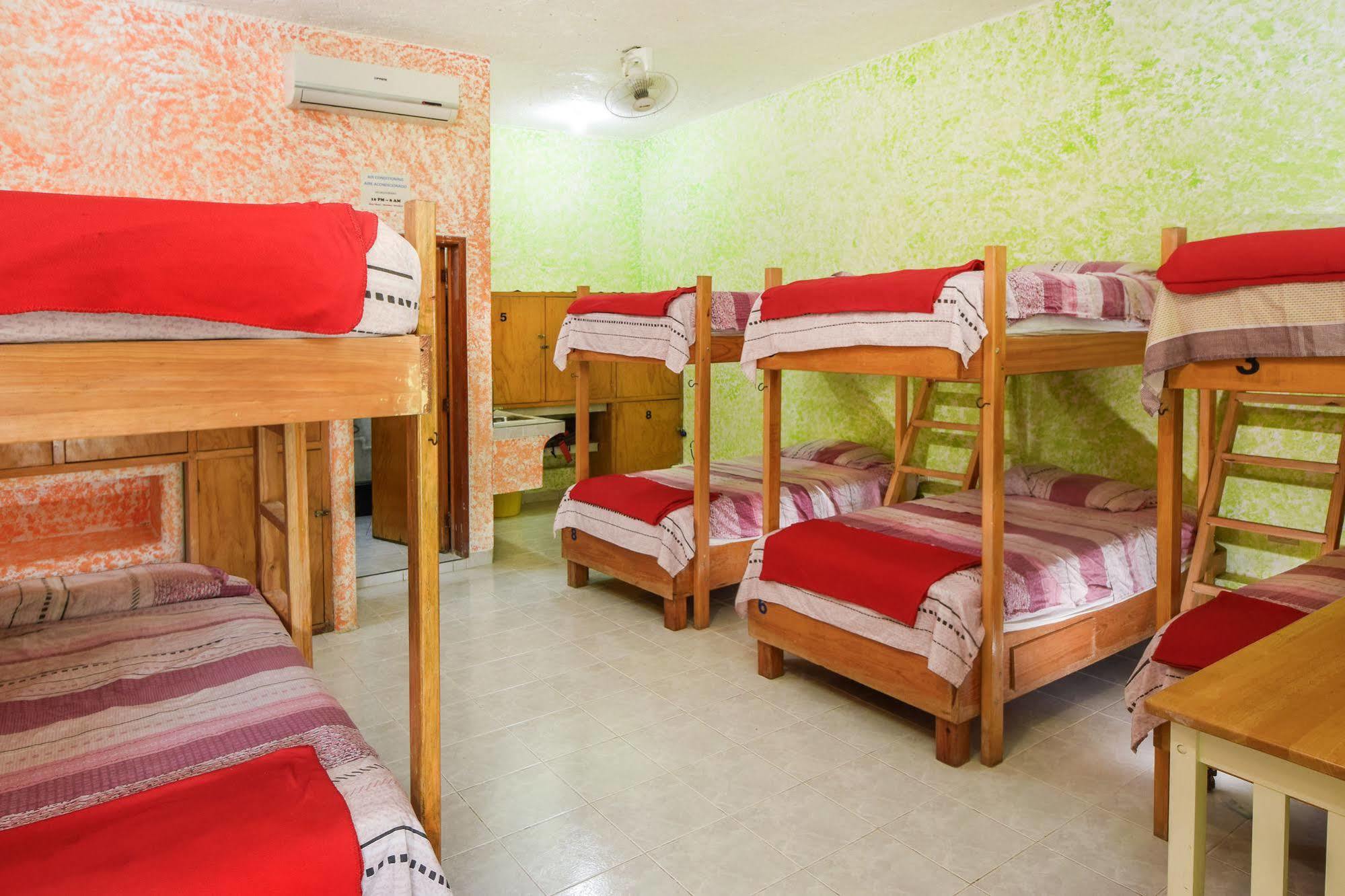 Amigos Hostel Cozumel Vandrerhjemsenger bilde