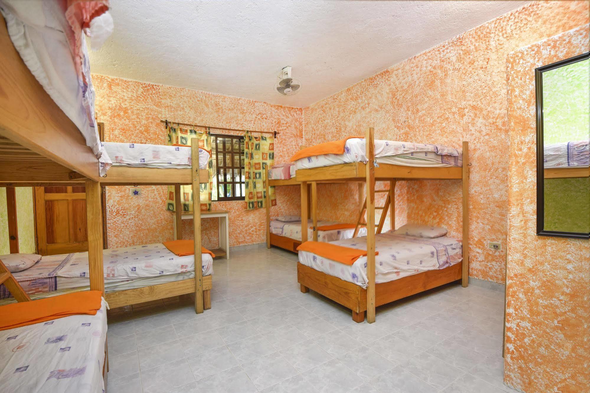 Amigos Hostel Cozumel Eksteriør bilde