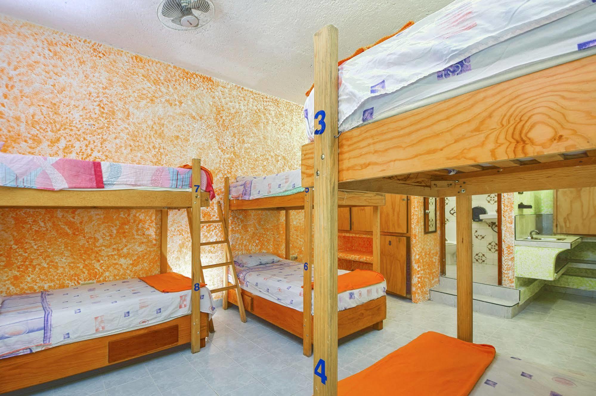 Amigos Hostel Cozumel Eksteriør bilde